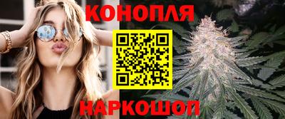 дмт Будённовск
