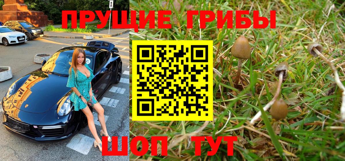 Галлюциногенные грибы GOLDEN TEACHER  Галлюциногенные грибы мицелий  Вход с VPN  Миасс 